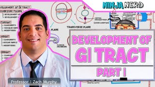 Gastrointestinal  Development amp Embryology of the GI Tract Part 1 [upl. by Ytissahc534]