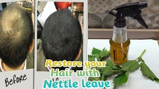 How To Make Stinging Nettle leaf water For Fast Hair Growth Restore Hair Loss [upl. by Lundeen]