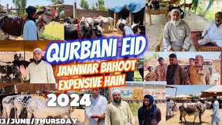 Qurbani janwar khareednay Mandi gayayQurbani Eid ki tayarisaleh khana kotli kalan🇬🇧🇵🇰🐄🐐🍱 [upl. by Herc]