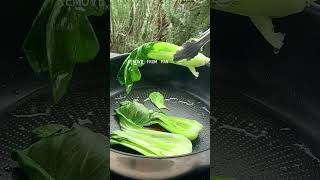 Sauteed Bok Choy [upl. by Annawahs]