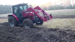 Ciężka jesienna orka 2015 Massey Ferguson  Unia Grudziądz 4x40 [upl. by Augustus]