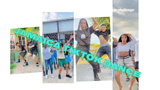 Jamaica TikTok dances🇯🇲‼️dance jamaica🇯🇲 Not Clean [upl. by Neenahs205]