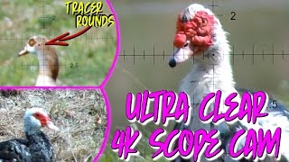 EXOTIC Waterfowl Hunting in Florida  My BEST CLEAREST 4K Scope Cam Videos Ever [upl. by Nosirrah]