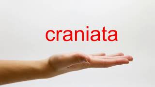 How to Pronounce craniata  American English [upl. by Drue]