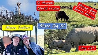 South Africa Safari – Rinos Giraffe Cape Buffalo Lions and more [upl. by Ruskin451]