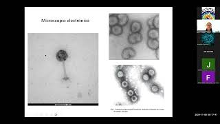 Curso de Zoonosis y enfermedades infecciosas [upl. by Dnaltruoc]