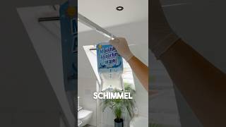 Schimmel im Altbau🦠😷 5 Tricks gegen Schimmel💨 [upl. by Westlund]