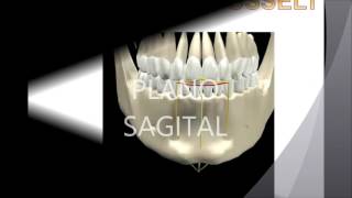 Biomecánica Mandibular Prostodoncia [upl. by Peih]