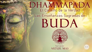 Buda  Dhammapada quotEl Camino de la Verdadquot Las Enseñanzas Sagradas de Buda Audiolibro Completo [upl. by Fryd]