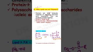 Why Lipids are not Polymers  Biomolecules class 11 Biology  NEET shorts [upl. by Eliezer]