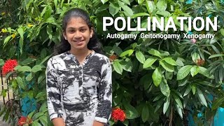 Types of pollination in Tamil  Autogamy geitonogamy xenogamy [upl. by Crawley638]