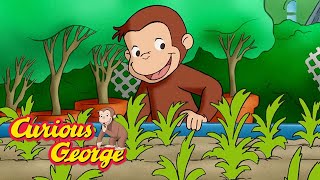 Curious George 🌱 The Magic Garden 🌱 Kids Cartoon 🐵 Kids Movies 🐵 Videos for Kids 🌱 [upl. by Aciruam859]