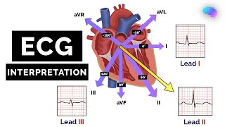 How to Read an ECG  ECG Interpretation  EKG  OSCE Guide  UKMLA  CPSA [upl. by Colner]