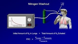 Pulmonary Function Tests PFT Lesson 3  Lung Volumes [upl. by Aihsek703]