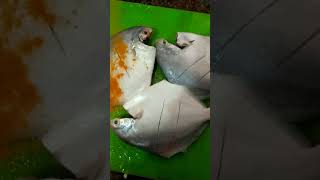 Spicy pomfret fish curry pamphlet fish recipe shorts please subscribe my channel 🙏 [upl. by Ogden393]