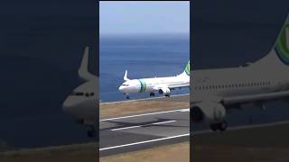 Madeira airport spotting plane madeiraisland airport jpedrofs11 [upl. by Harret]