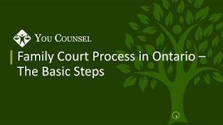 Family Court Process in Ontario  The Basic Steps [upl. by Yra]