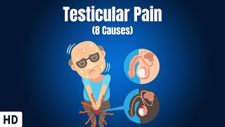 8 Causes Of Testicular Pain [upl. by Eityak]