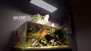 How To Do Aquatic Plants Waterfall Aquaterrarium l Make 4 Terrarium [upl. by Nois]