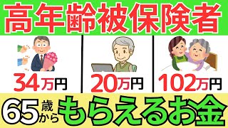 【８割が知らずに損】65歳以上高年齢被保険者が受給できる３つの給付金とは？65歳以降働く人必見！ [upl. by Keeton]