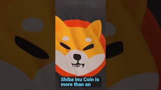 ⚠️Shiba Inu Coin Holders  This Is It Get Ready SHIB Army [upl. by Castora]