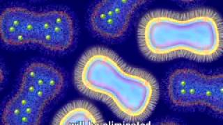 Animation of Antimicrobial Resistance [upl. by Kirenoj]