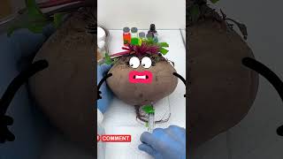 Can a Vegetable Get Plastic Surgery Watch This Crazy Experiment 😂 cartoon sausage animation [upl. by Annai]