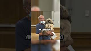 Cute Dog Helps Owner In Court 🥺 [upl. by Enal270]