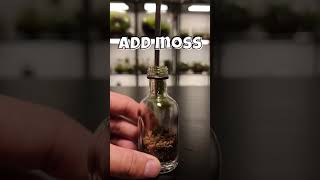 Easy Terrarium Anyone Can Make [upl. by Allrud]