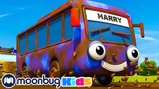 10 Muddy Trucks Song ｜Geckos Garage｜Childrens Music｜Trucks For Kids｜Geckos Songs [upl. by Ariat627]