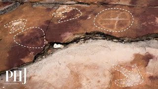 9000YearOld Rock Sketches Prove Early Humans Knew All About Dinosaurs  PHJ [upl. by Odanref]