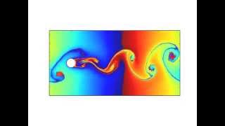 Periodic 2D flow past a cylinder [upl. by Ileak]