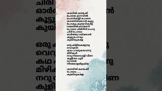 Kadalil kanmashi pole song lyrics song malayalamsonglyrics kadalil [upl. by Ahsitahs]