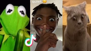 THE FUNNIEST TIK TOK MEMES Of April 2023 😂  4 [upl. by Landre52]