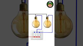 2 Gang Switch Boardshortsshortsfeedshortsvideoyoutubeshortsytshorts bhojpurisongelectrical [upl. by Monaco]