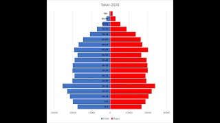 Nüfus PiramidiExcelPopulation Pyramid [upl. by Carhart]