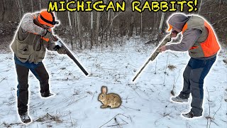 Rabbit Hunting MICHIGAN w Beagles Rabbits Everywhere [upl. by Malinda]