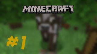 Minecraft Put do Bajrona  Epizoda 1  Avantura [upl. by Afatsom713]