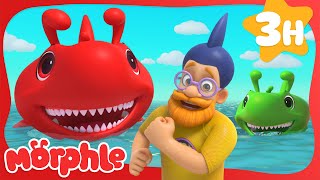 Morphle the Great Red Shark  Cartoons for Kids  Mila and Morphle [upl. by Sybil269]