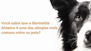 Você sabia que a Dermatite Atópica é uma das alergias mais comuns entre os pets [upl. by Lemuela]