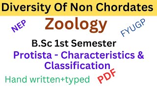 Protista Characteristics amp Classification  BSc Zoology 1st Semester  Diversity of Non Chordates [upl. by Adnawuj32]