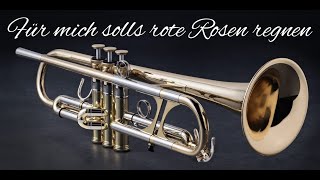 Für mich soll´s rote Rosen regnen Instrumental [upl. by Eceer]