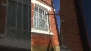 WATER FED POLE TECHNIQUE FOR TRICKY WINDOW  Summer Work windowcleaning windowcleaner satisfying [upl. by Inafetse]