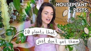 Plants That Dont Get Pests 🪳 10 Houseplants That Ive Never Found Pests On [upl. by Ginnie]