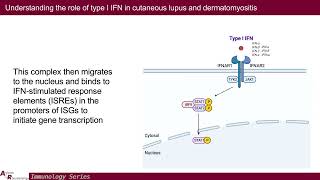 Understanding Type I IFN in Cutaneous Lupus amp Dermatomyositis Toward Better Therapeutics [upl. by Ahsied796]