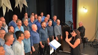 Fix You Coldplay  Low Rez Male Choir at ChillOut Festival 2017 in Daylesford [upl. by Oek]