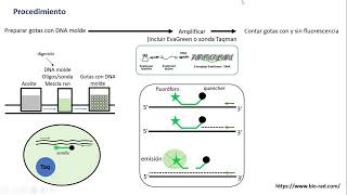 Droplet digital PCR ddPCR [upl. by Concha194]