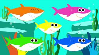 Baby Shark Dance Instrument  Kids Song and Nursery Rhymes  Songs for Children [upl. by Bannister955]