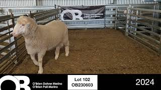 Lot 102  OB230603 [upl. by Waddell63]