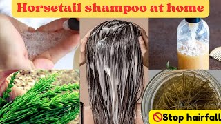 Horsetail for Hair Growth  Horsetail shampoo at home [upl. by Amolap]